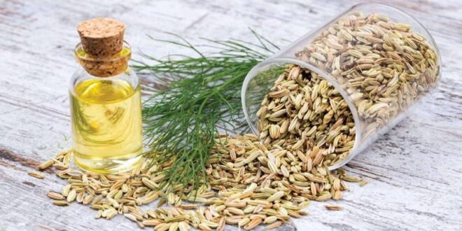 خواص روغن رازیانه برای واژن