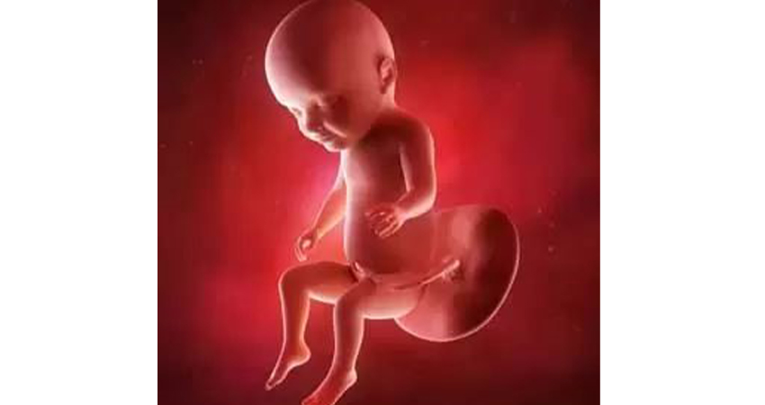رشد جنین در هفته سی و دوم حاملگی