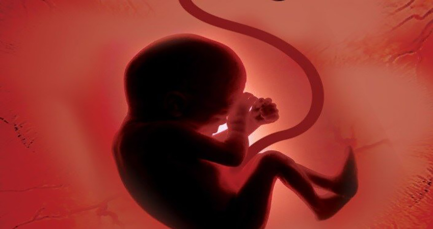 از کجا بفهمم جنین کامل سقط شده؟