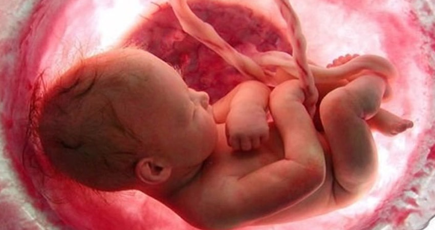 بافت جنین سقط شده چه شکلی است؟