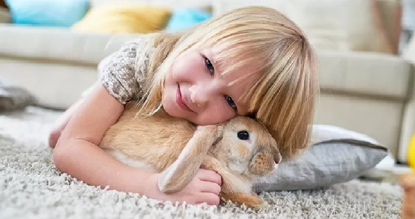 خرگوش خانگی برای چه کسانی مناسب است؟