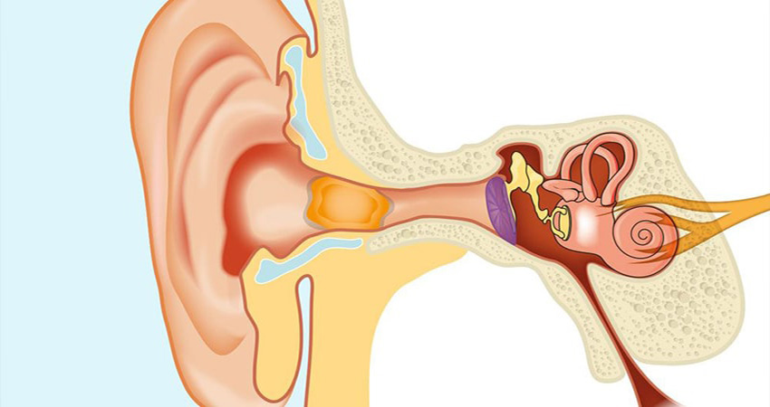 علائم خارش گوش چیست؟