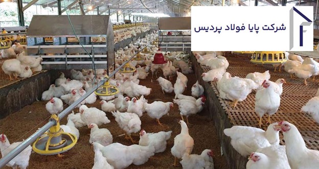 ابعاد سوله مرغداری