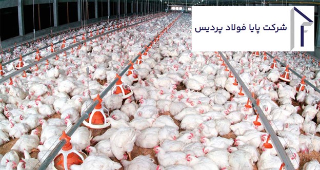 هزینه ساخت سوله مرغداری