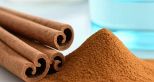 کشف ادویه باستانی و علم نوین آن
