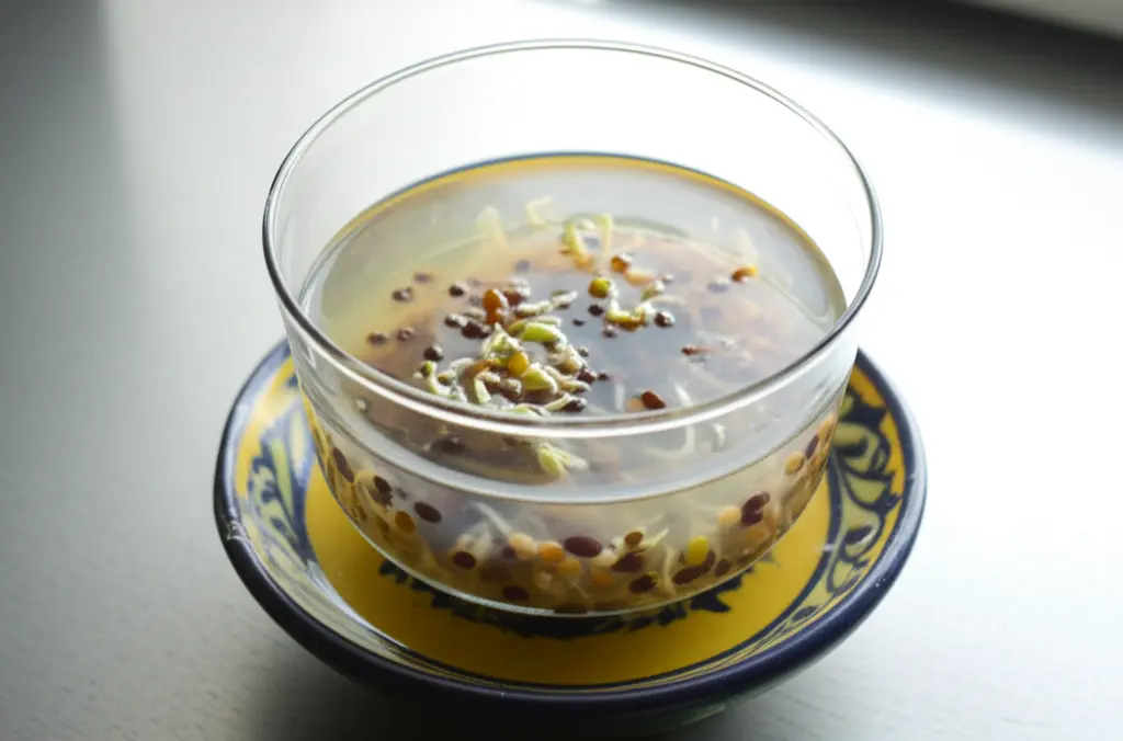 طرز درست کردن انواع سبزه عید