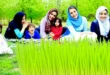 مقدمه: سیزده بدر، جشن پیوند با طبیعت و سرزندگی