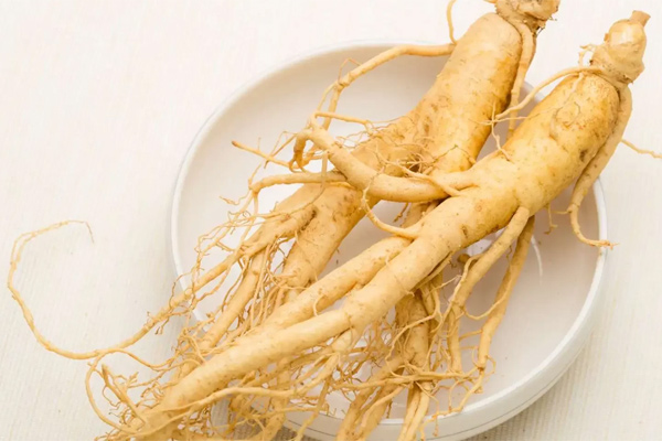 عوارض جانبی و احتیاط مطرف جینسیگ