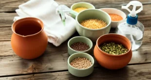 نکاتی که باید قبل از سبز کردن سبزه بدانید